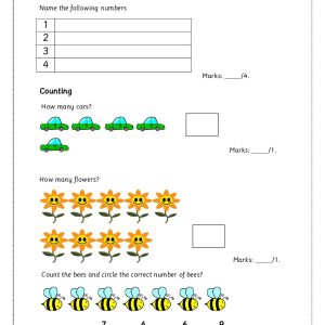 EYFS Math Assesment pdf 4